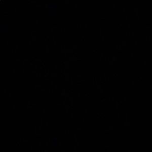 Meet your Posher, Ash